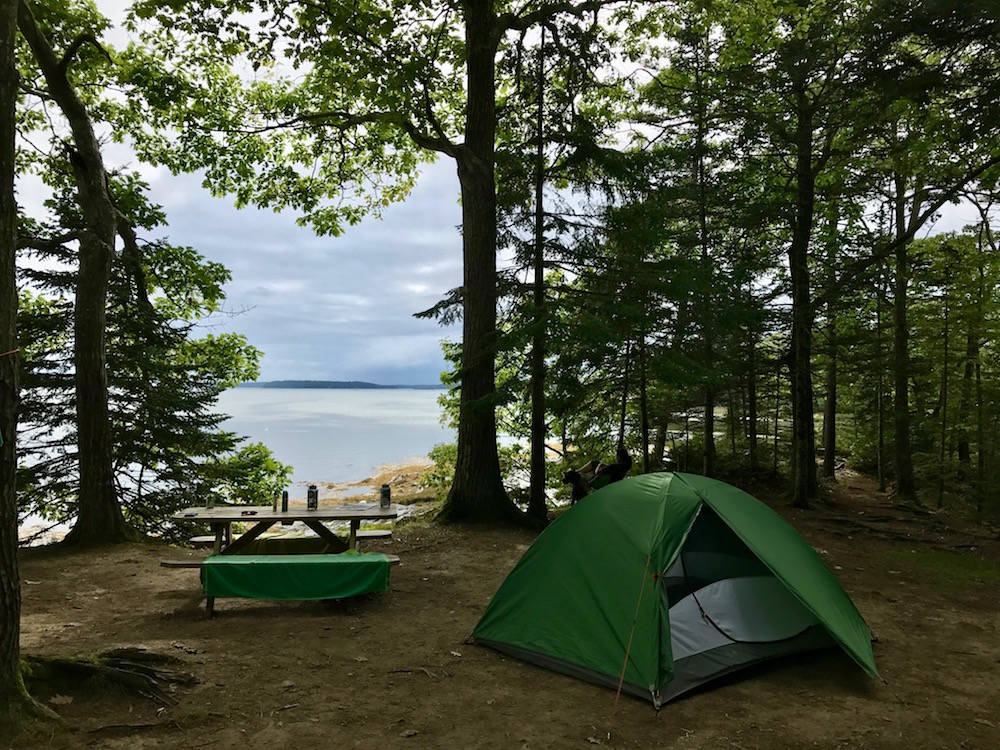 Campsite on the ocean at Wolf Neck Farm